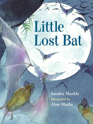 cover image of Little Lost Bat